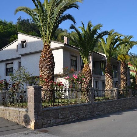 Apartamentos Las Palmeras Cangas de Onis Luaran gambar